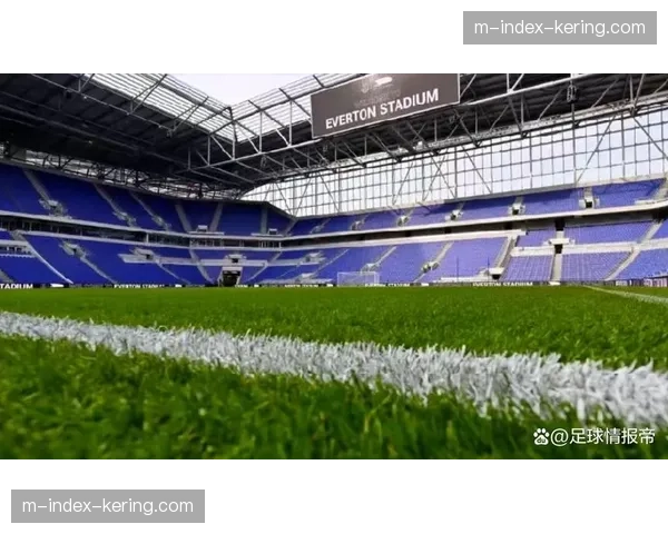 埃弗顿新主场冠名权年入1000万镑 商业翻身的基石效应